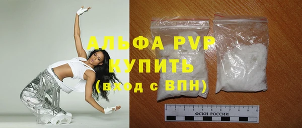стафф Арсеньев