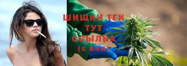 стафф Арсеньев
